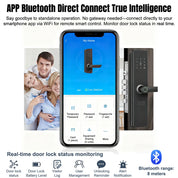 Smart Fingerprint Door Handle Lock